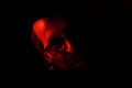 《直到黎明2》正式公开：捉鬼团队登上热带孤岛，2027年登陆PS5