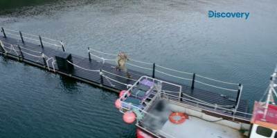 《饥饿游戏》真实版！飙破肾上腺搏命实况全都录