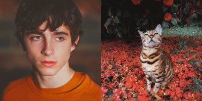真猫系男子！甜茶vs超萌喵星人相似度百分百