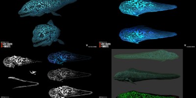 谜样、绝美的海洋生物设计！《爱死机器人－鱼夜》概念艺术家分享动画制程与诀窍