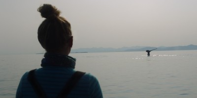 赏鲸季开跑！Apple TV+纪录片《探寻鲸之音》带你听见鲸鱼歌唱