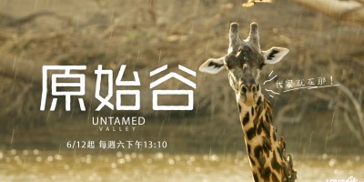 女巫战力再起！《女巫前线：塞勒姆要塞》第二季与美同步播出