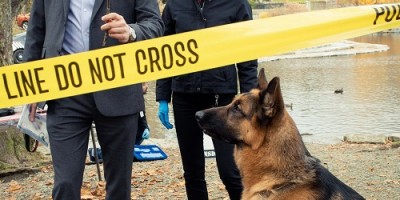 人狗搭档破案！《警犬妙探：哈德逊与雷克斯》全台首播