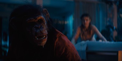 《猩红风暴》萌宠恐怖来袭，保罗·麦斯卡《声之年》领衔一月末口碑新片指南