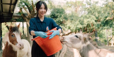 王柏杰、邵雨薇谱写“动物园”恋曲，金曲制作人许哲珮首担配乐，竟是喝完杀青酒才动工？