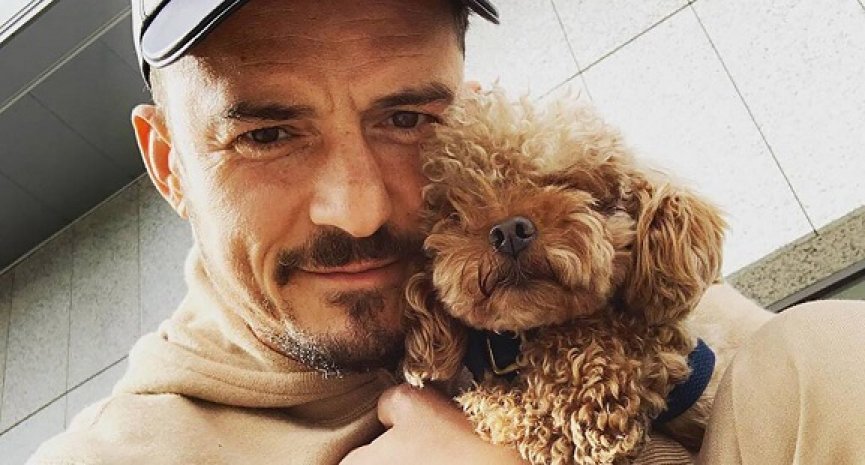 爱犬Mighty走失！奥兰多布鲁心碎发文求大众协寻