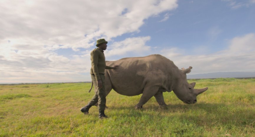 BBC Earth《地球生态季》掀起现代绿色革命！《灭绝的真相》揭 100 万濒危物种