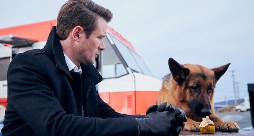 人狗搭档破案！《警犬妙探：哈德逊与雷克斯》全台首播-DramaClub