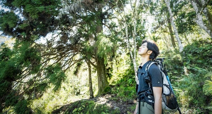 《极岛森林》修复山路艰辛历程曝光！陈柏霖携好友群反馈大地