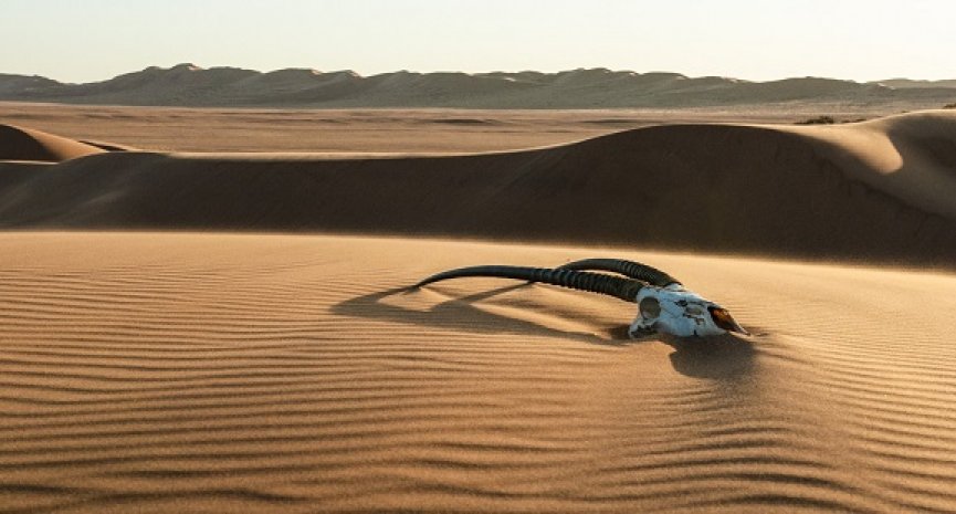 响应422世界地球日！BBC Earth回顾生态经典巨作、献映四部全新纪录片