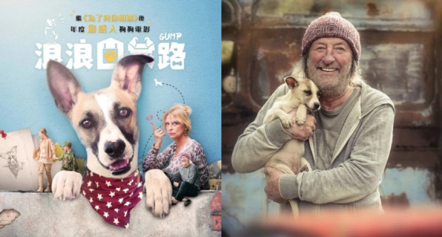 今夏最感人狗狗电影！《浪浪回家路》5 大看点