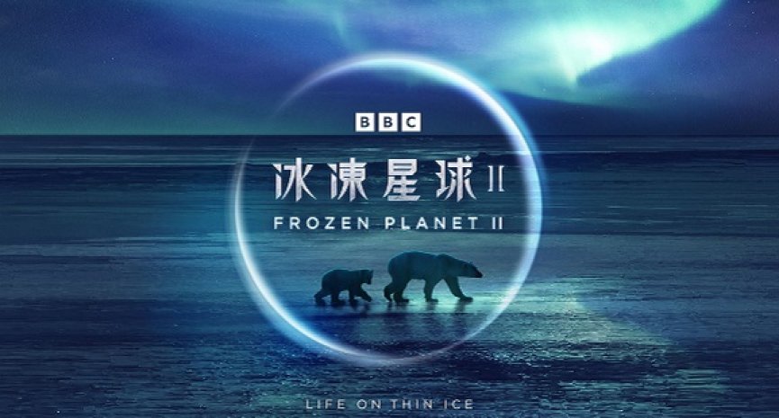 睽违 11 年全新力作！BBC 星球系列年度钜献《冰冻星球 II》登台上线