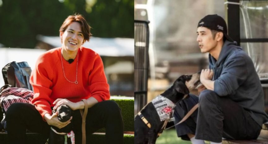 首部真人宠物实境节目《TOP DOG》8大看点！罗志祥、胡宇威、陈楚河加盟-DramaClub