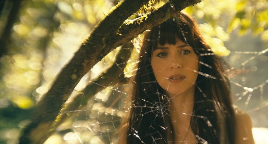 《蜘蛛夫人》首曝预告！达珂塔强生联手《高校十八禁》女星对抗神秘反派