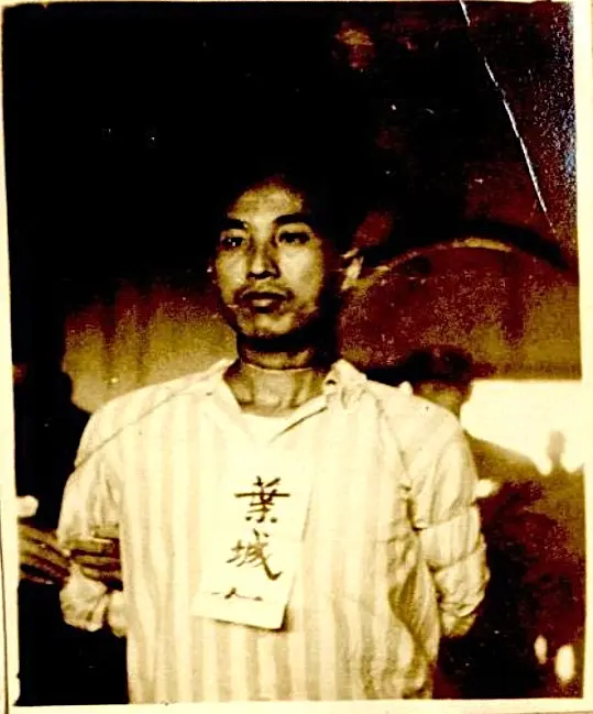 迷雾深处的人性与历史:电影《大濛》中的残酷岁月 迷雾深处的人性与历史:电影《大濛》中的残酷岁月