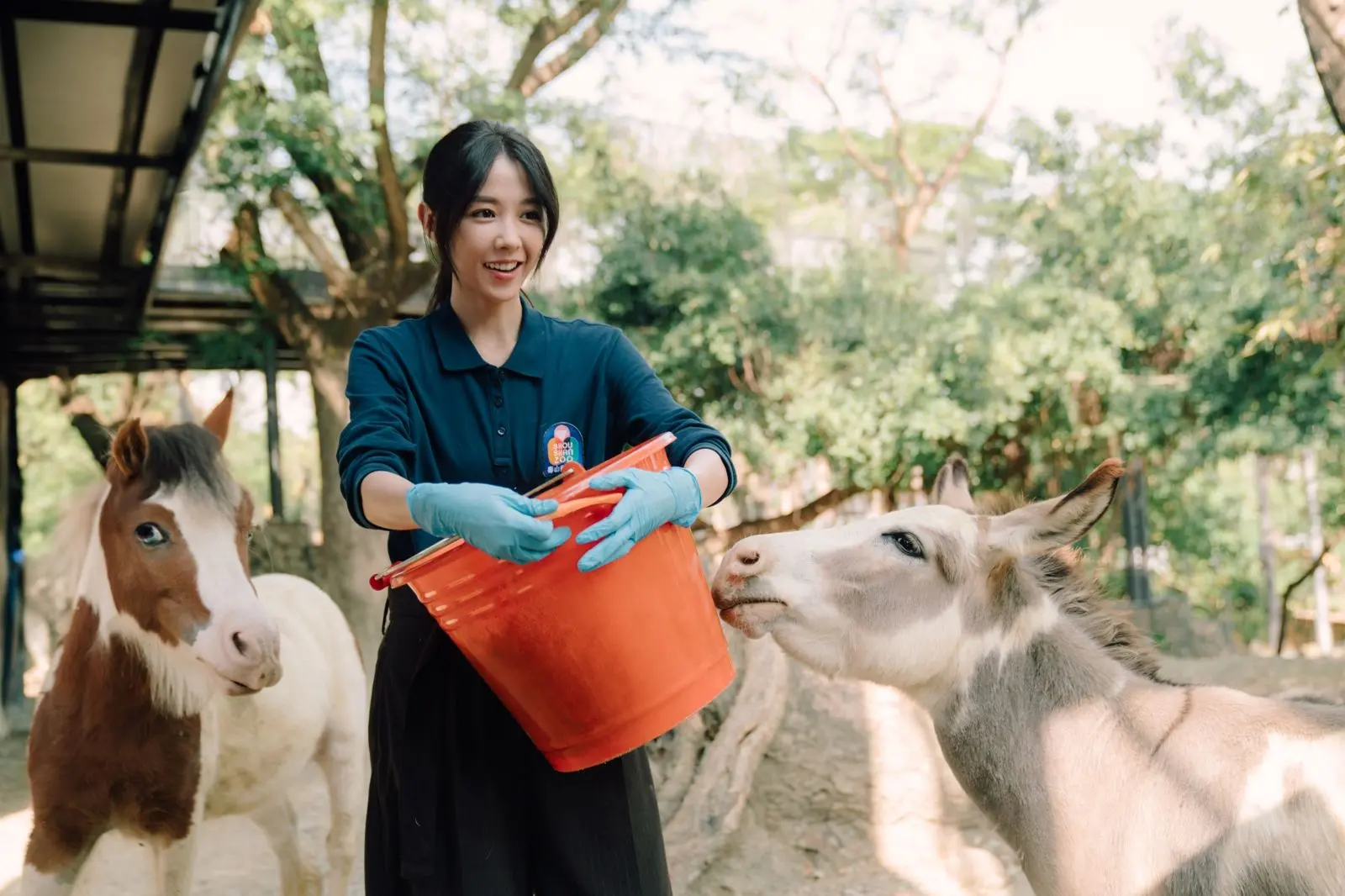 王柏杰、邵雨薇谱写“动物园”恋曲,金曲制作人许哲珮首担配乐,竟是喝完杀青酒才动工? 王柏杰、邵雨薇谱写“动物园”恋曲,金曲制作人许哲珮首担配乐,竟是喝完杀青酒才动工?